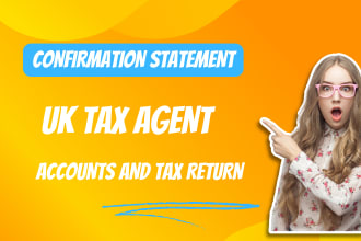 prepare UK ltd accounts and tax return ct600