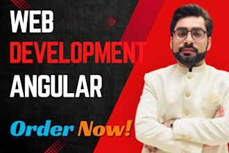 develop custom angular and asp dot net core web applications