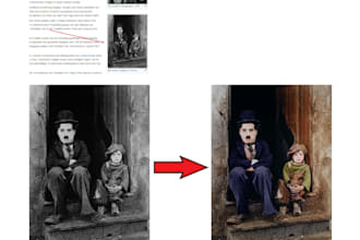 colorize your black and white image