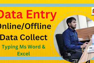 data entry,manual data entry an exact quality of your desire