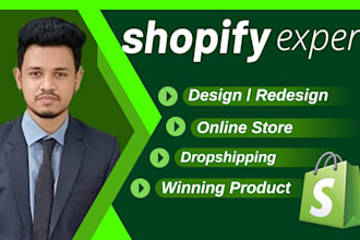 build shopify ecommerce website, dropshipping shopify store, one product store