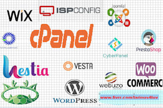 setup cyber panel, cpanel, or any control panel on your host