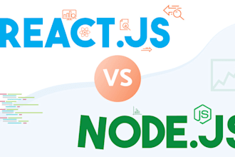 develop react js and node js website