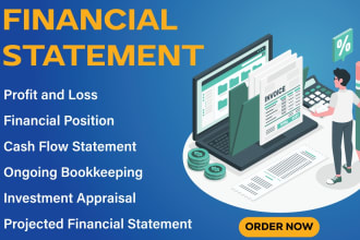 prepare balance sheet, profit and loss and financial statements