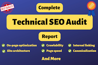 provide an expert SEO audit report with recommendations