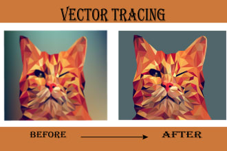 do vector tracing or redesign any image or logo