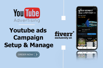 set up and manage your google adwords youtube video ads campaign