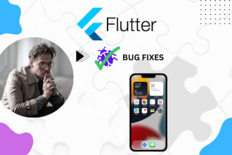 fix bugs and errors in your flutter project