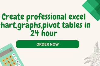 create professional excel chart,graphs,pivot tables in 24 hour