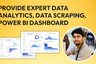 provide data analyst, data visualization, data scraping, power bi dashboard