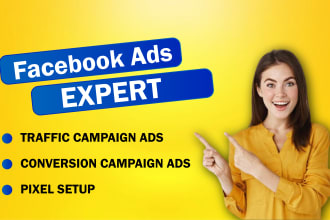 be your facebook ads manager and run best fb ads campaign