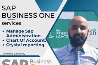 manage your sap b1 adminitration and data entry
