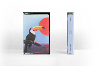 design your album cover in any format, tape, cd, vinyl