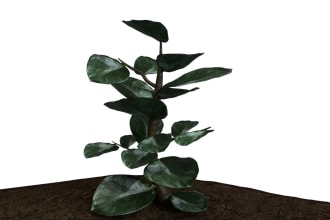 model and render textured 3d plants