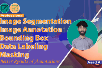 image annotation, segmentation, masking and data annotation