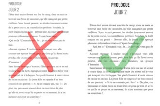 layout, typesetting, formatting your book, novel, ebook