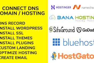 set up dns domain to hosting install wordpress with free SSL