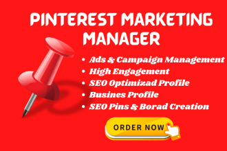 manage your pinterest marketing ads campaign promotion