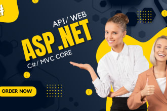 asp net mvc ,asp net core 7,8  web application and API