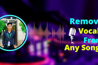 remove vocals from any song or link within 24 hours