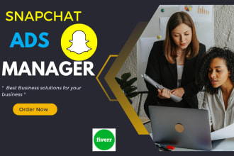 setup and managed snapchat ads campaigns