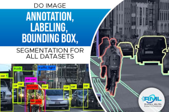 do image annotation, labeling, bounding box, segmentation for ai dataset