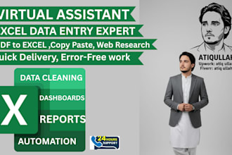 excel data entry expert