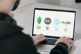 build your websites in mern stack, html,css