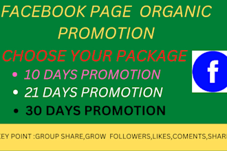 do organic facebook page promotion and worldwide marketing
