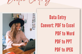 execute data entry jobs and create fillable PDF forms