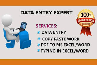 be virtual assistant for data entry and copy paste tasks