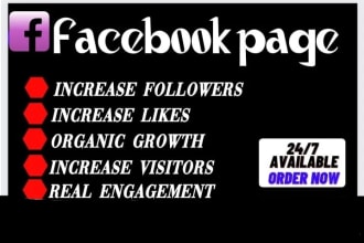 be your facebook ads expert fb marketing expert, manage your fb page