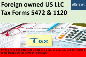file 5472 and 1120 for your foreign owned single member llc