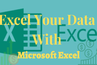 create excel spreadsheets, excel dashboard with excel macros