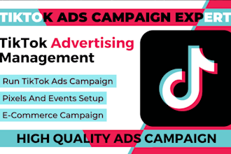 provide perfect tiktok video editing, creation, ads services