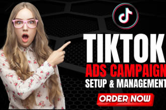 run tik tok ads, tik tok ads manager, and tiktok marketing