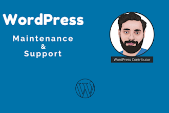 provide professional wordpress maintenance and support