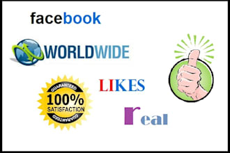 provide 5000 Facebook fanpage likes within 48 hours