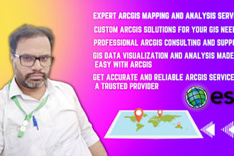 gis data visualization and analysis with arcgis