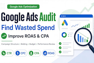 audit your google ads and create a roas improvement plan