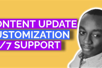 customize, update or edit your wordpress websites
