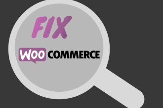 fix woocommerce and plugin errors, remote assistance with website issues