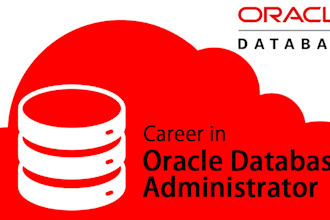 oracle dba and plsql developer