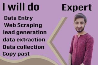 do data entry email collection web scraping data extraction