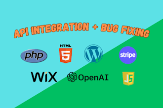 do API integration and bug fixing