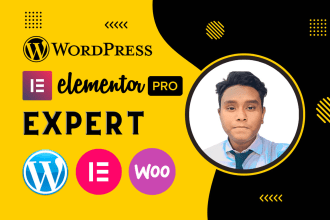 design, develop, clone or redesign wordpress website as elementor pro expert