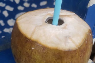 answer any questions about jamaica