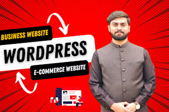 develop a professional wordpress website design