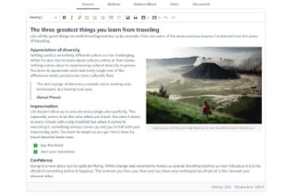 develop a wysiwyg custom ckeditor text editor for you