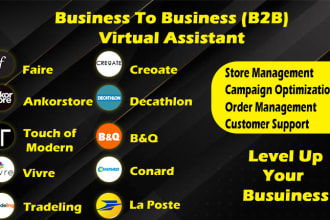 be your b2b b2c marketplaces virtual assistant